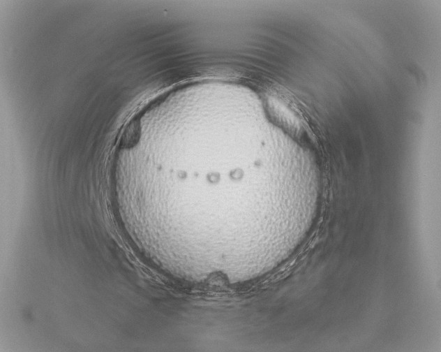 X0000116150337200912071308