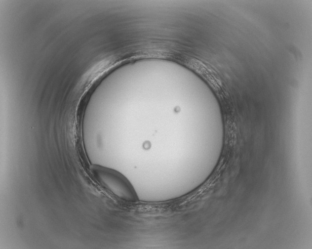 X0000116150338200912071308