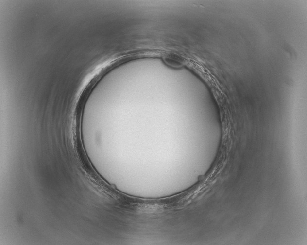 X0000116150342200912071308