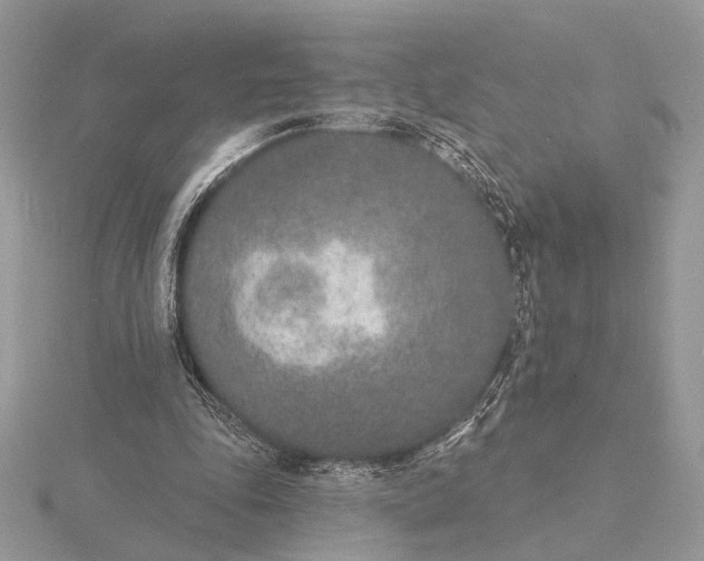 X0000116150343200912071308