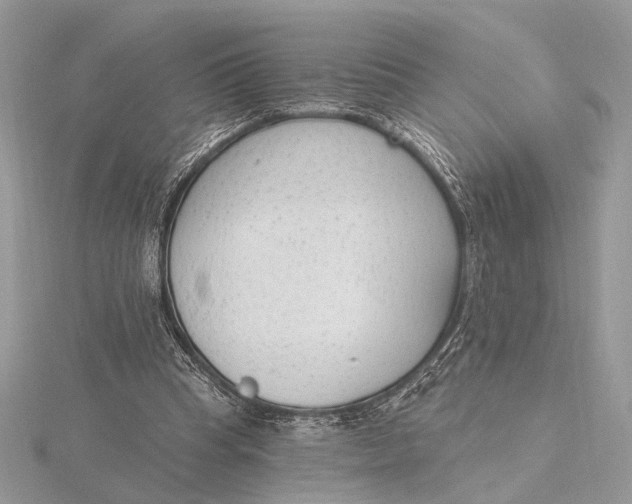 X0000116150345200912071308