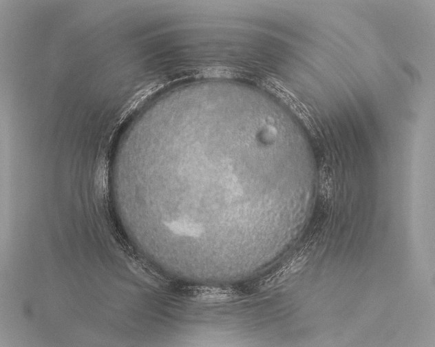 X0000116150347200912071308