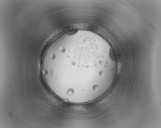 X0000116150349200912071308