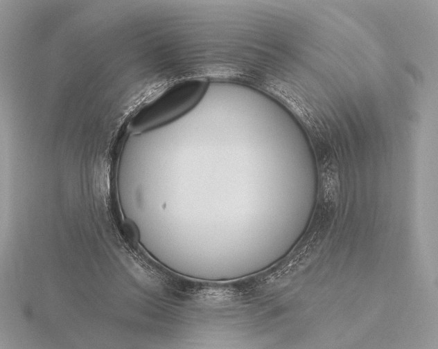 X0000116150350200912071308