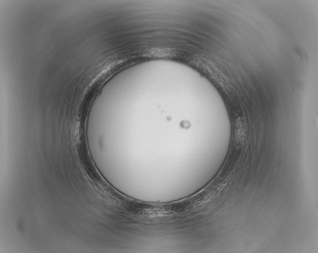 X0000116150351200912071308