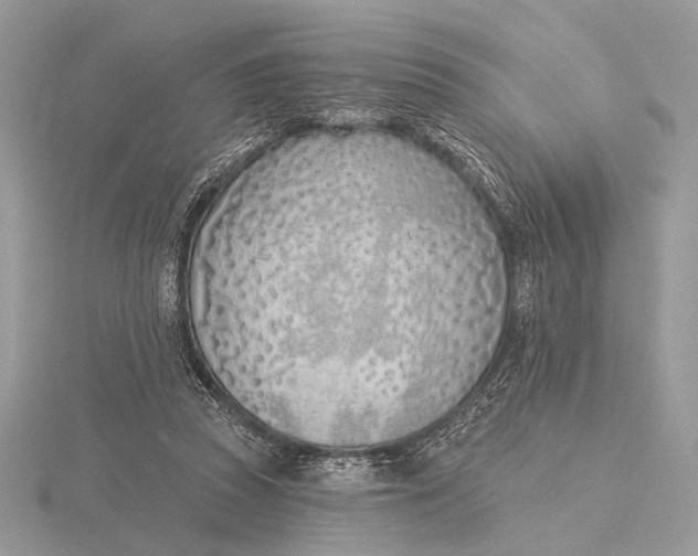 X0000116150353200912071309