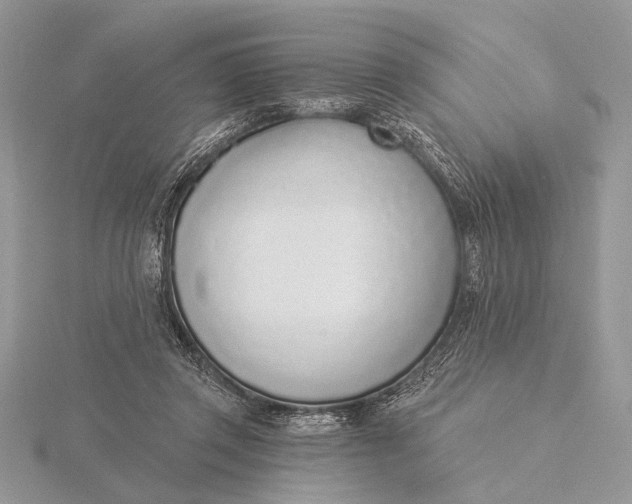 X0000116150357200912071309