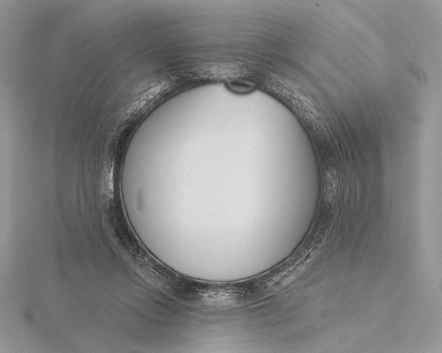 X0000116150358200912071309