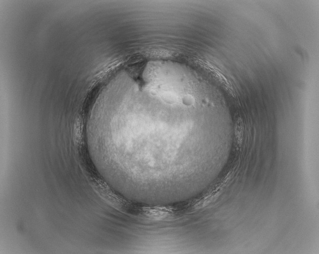 X0000116150359200912071309