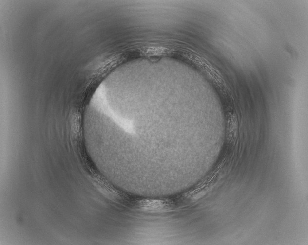 X0000116150361200912071309