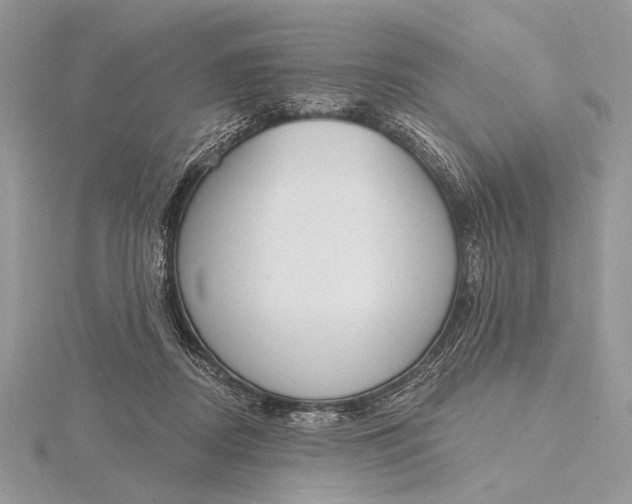 X0000116150362200912071309