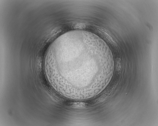 X0000116150363200912071309