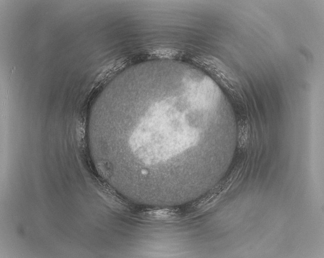 X0000116150365200912071309