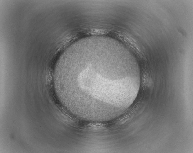 X0000116150367200912071309