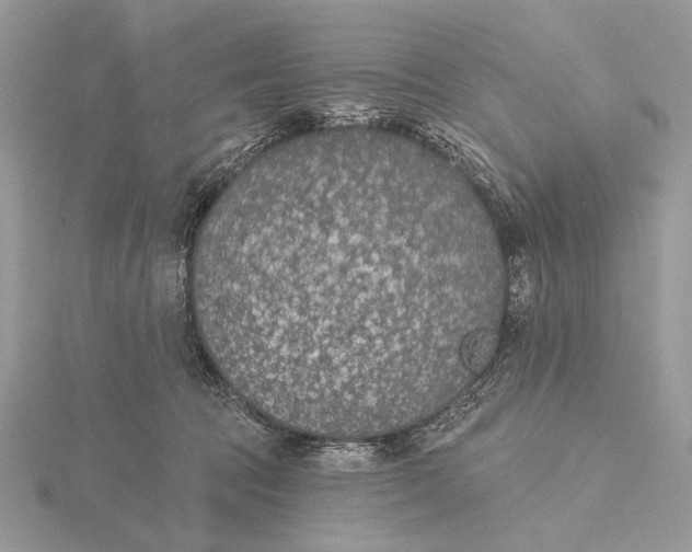 X0000116150369200912071309