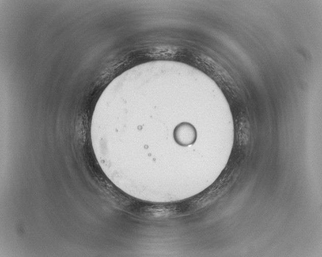 X0000116150370200912071309