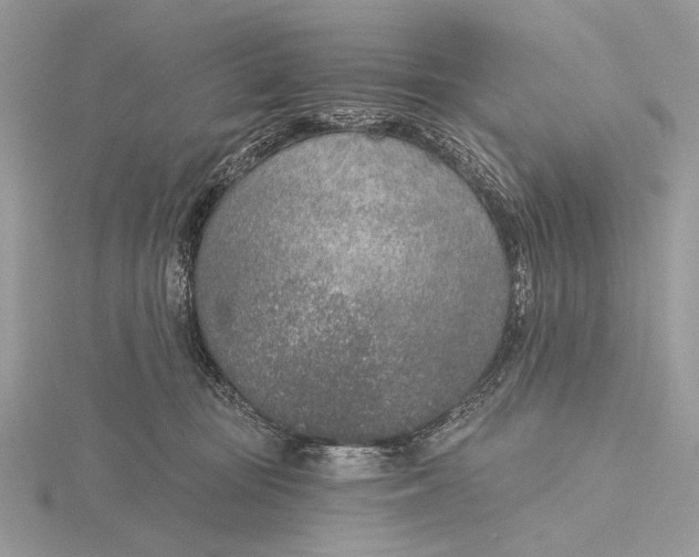 X0000116150371200912071309