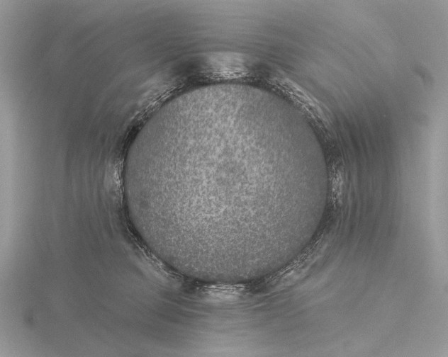 X0000116150373200912071309