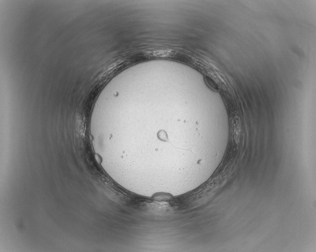 X0000116150374200912071309