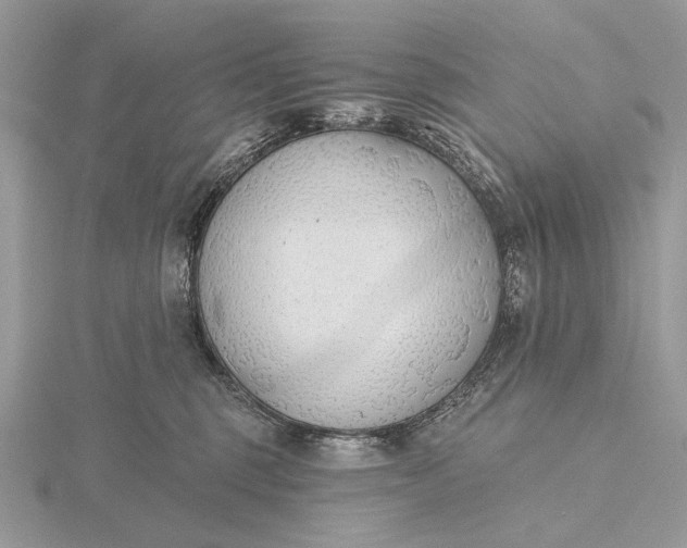 X0000116150375200912071309