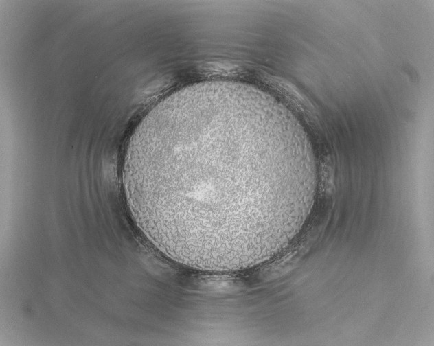 X0000116150377200912071309