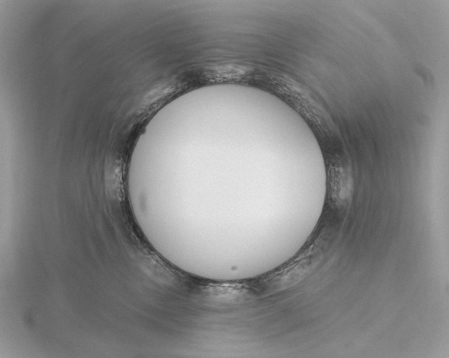 X0000116150378200912071309