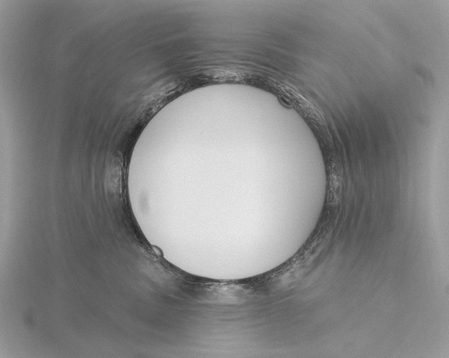 X0000116150379200912071309