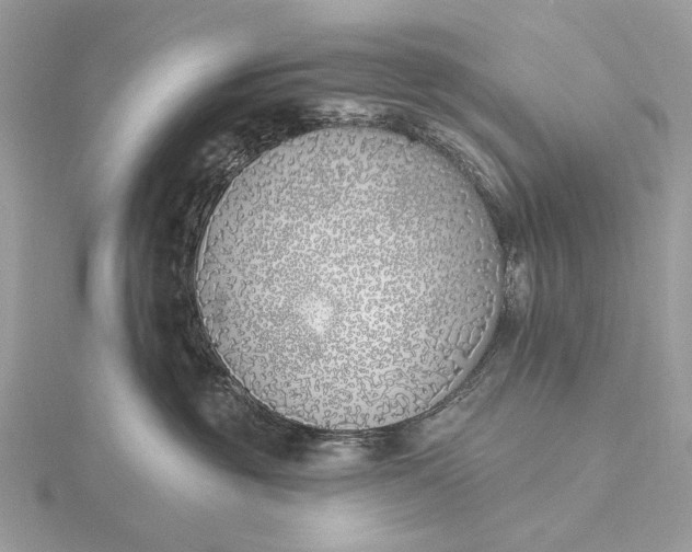 X0000116150381200912071309