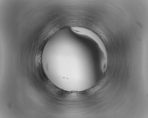 X0000116150382200912071309