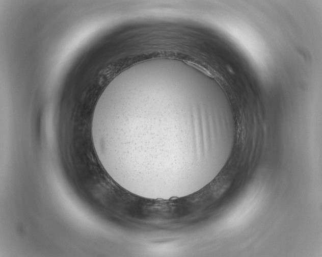 X0000116150383200912071309