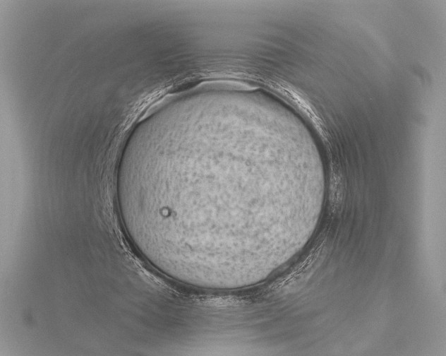 X0000116150385200912071308