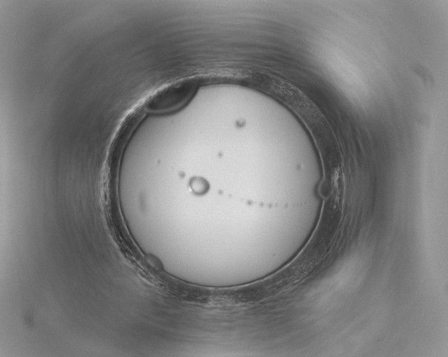 X0000116150388200912071308