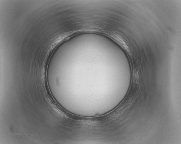 X0000116150389200912071308