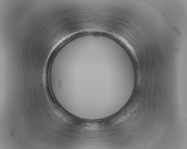 X0000116150391200912071308