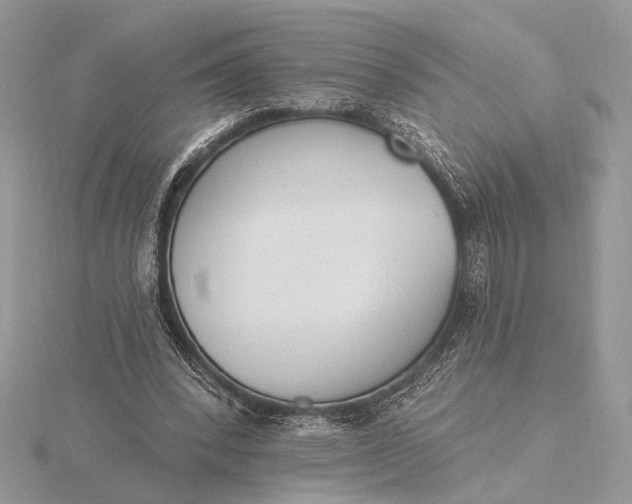 X0000116150392200912071308