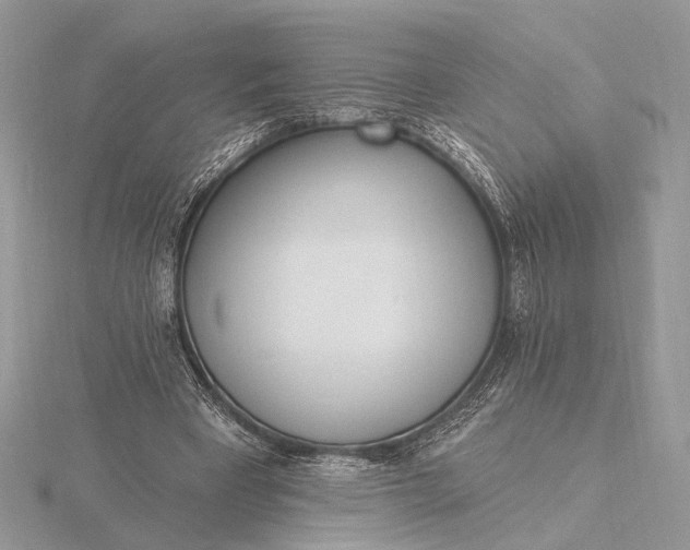 X0000116150393200912071308