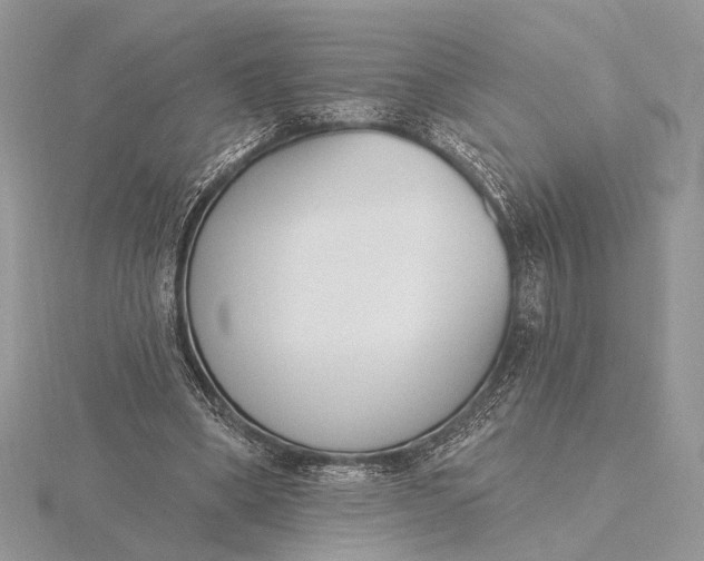 X0000116150394200912071308