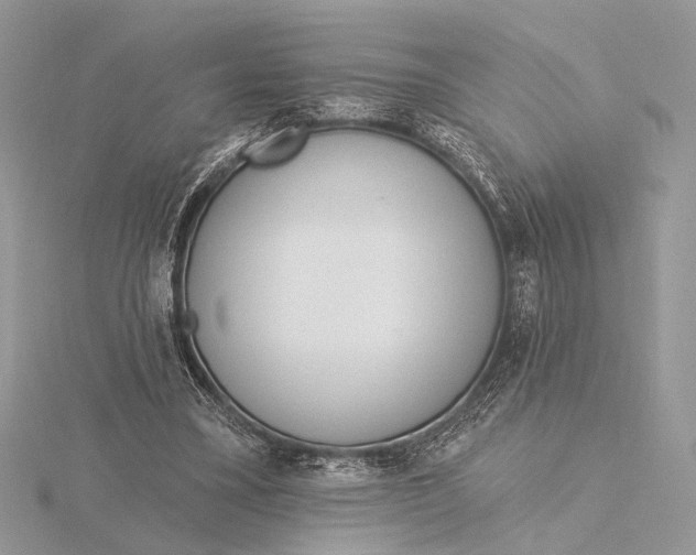 X0000116150395200912071308