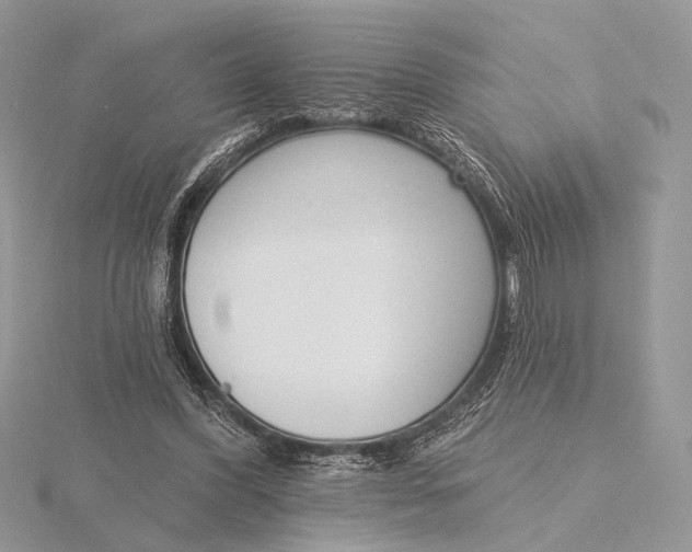 X0000116150396200912071308