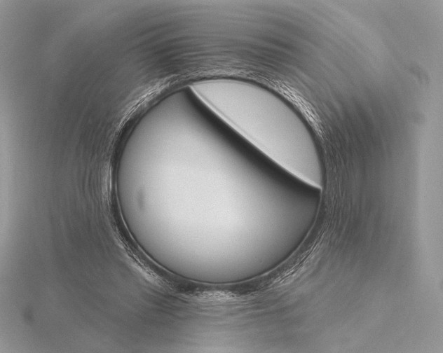 X0000116150397200912071308