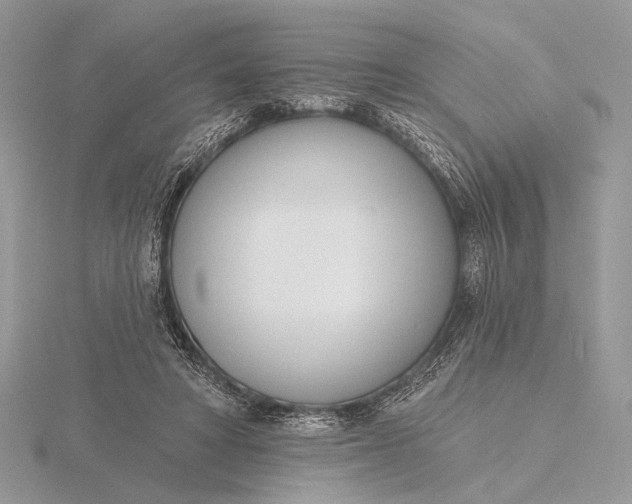 X0000116150402200912071308