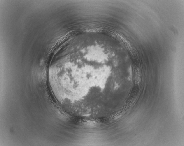 X0000116150405200912071308