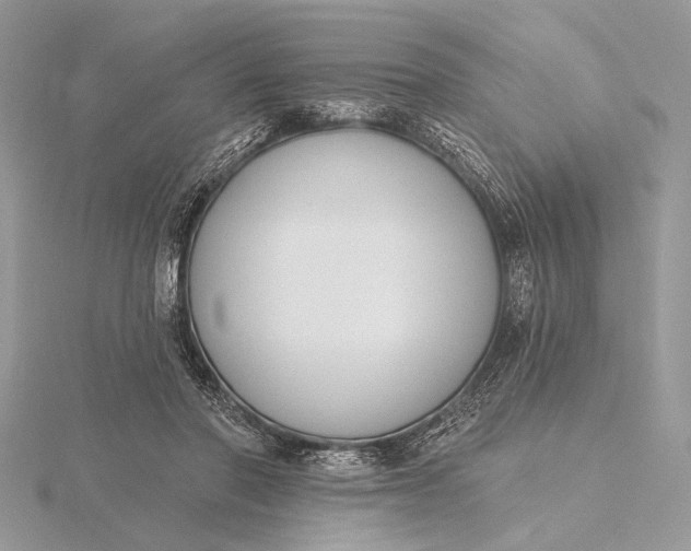 X0000116150406200912071308