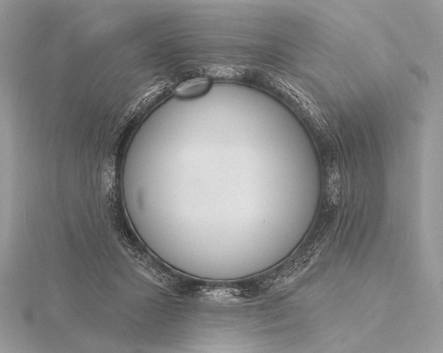 X0000116150407200912071308