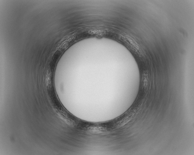 X0000116150408200912071308