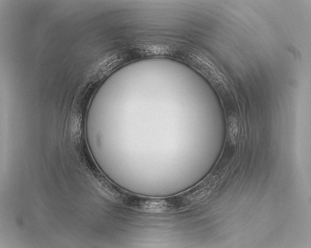 X0000116150410200912071308