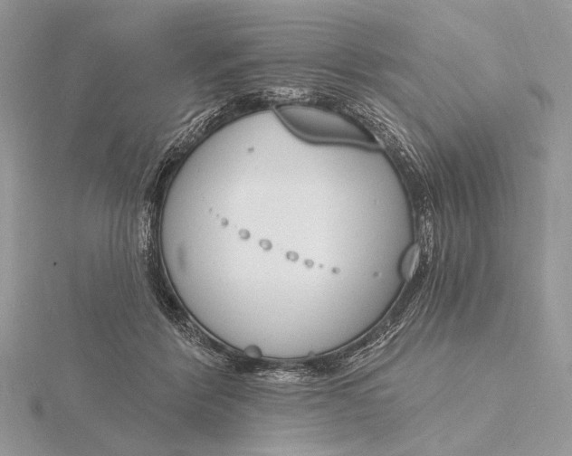 X0000116150412200912071308