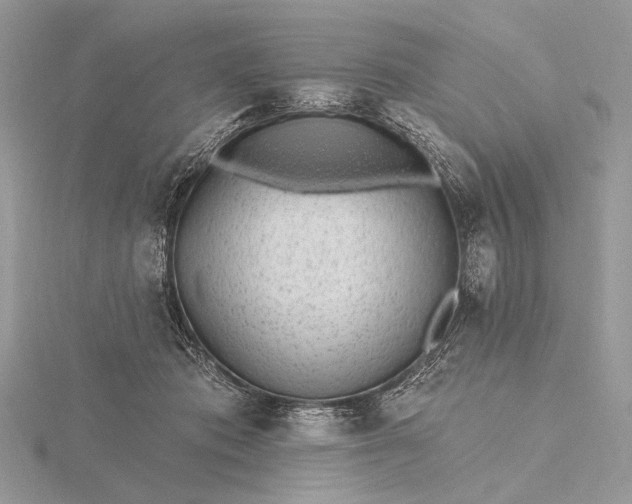 X0000116150413200912071308