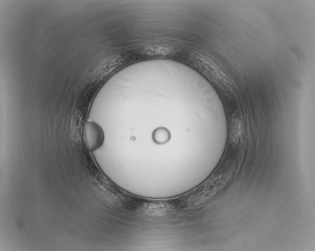 X0000116150414200912071308