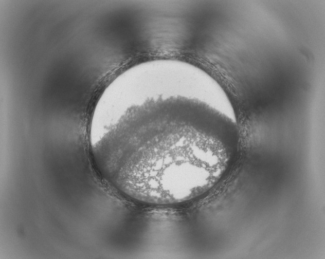 X0000116150415200912071308